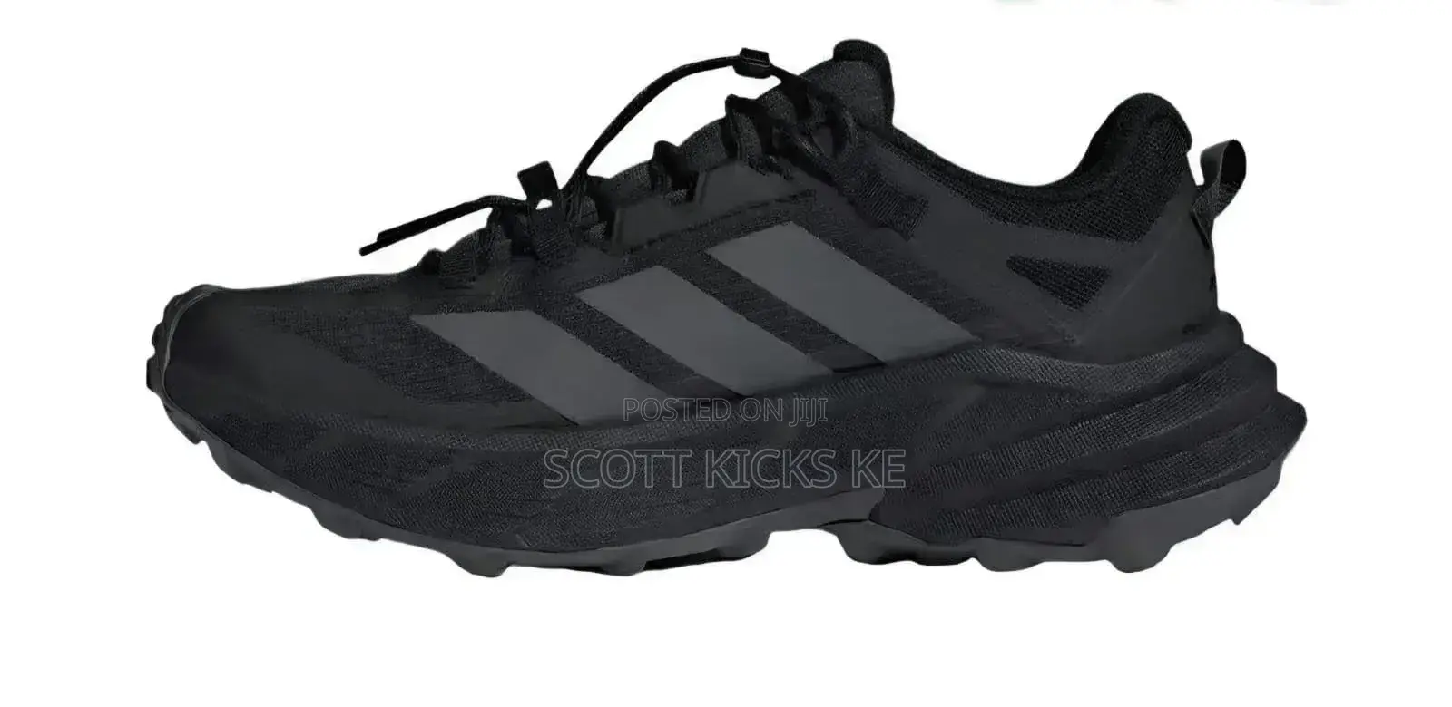 Adidas Terrex Hiking Shoes