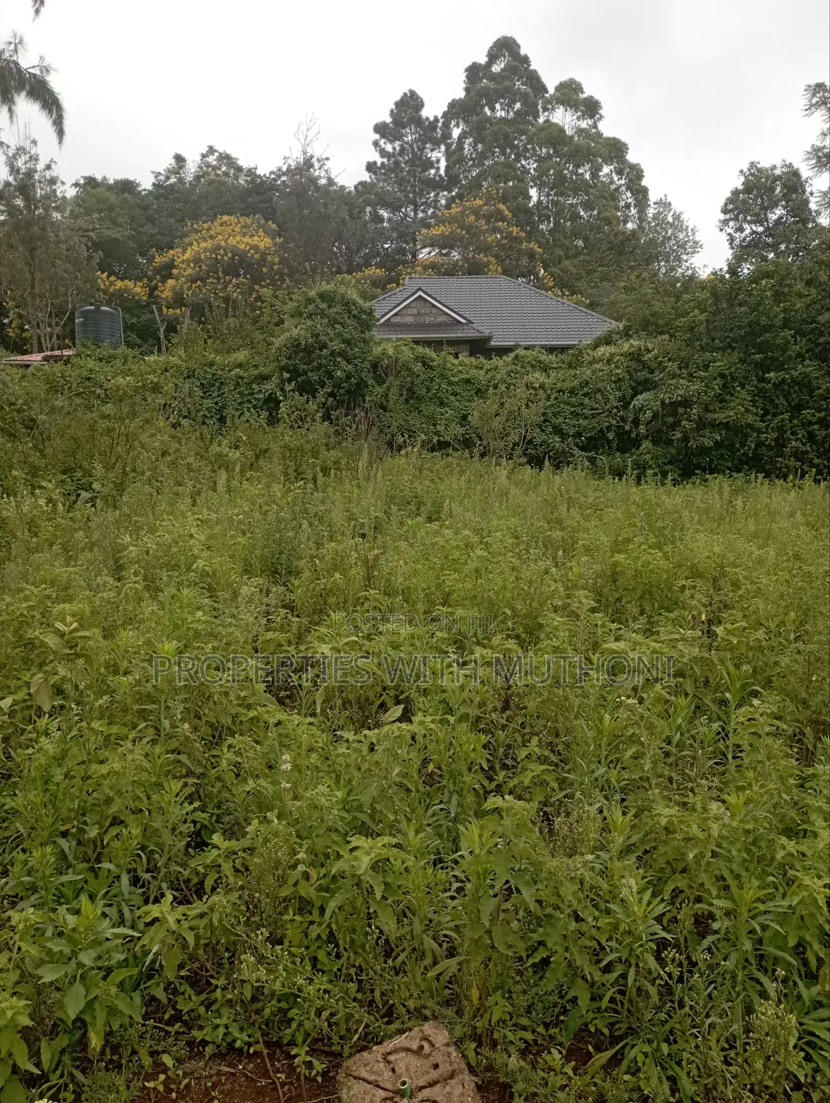 1 Acre Land for Sale in Matasia, Ngong.