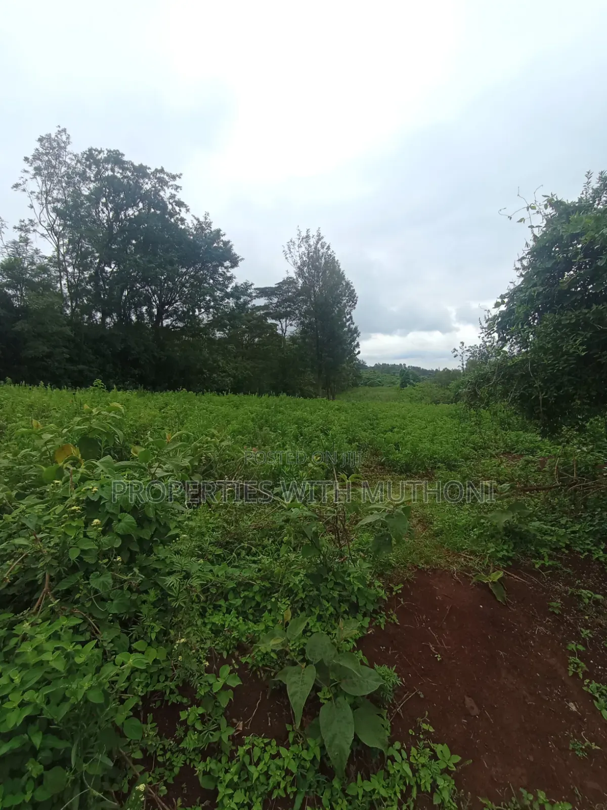 1 Acre Land for Sale in Matasia, Ngong.