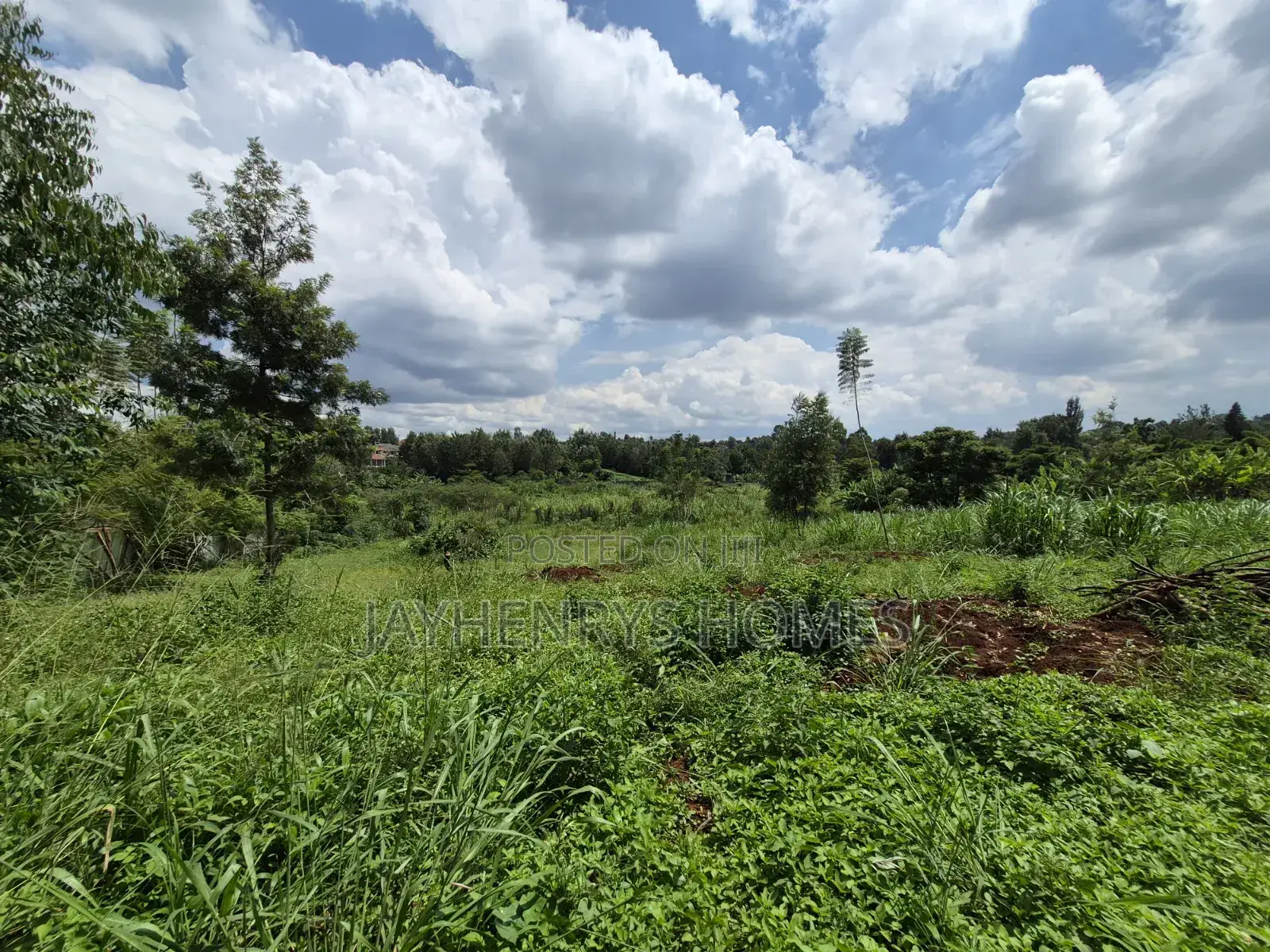 Half Acre Plot for Sale Along Njathaini Rd,Off Kiambu Rd