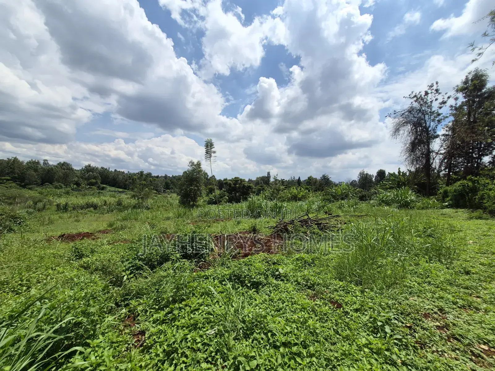 Half Acre Plot for Sale Along Njathaini Rd,Off Kiambu Rd