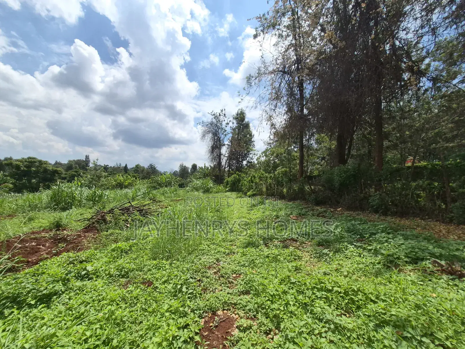 Half Acre Plot for Sale Along Njathaini Rd,Off Kiambu Rd