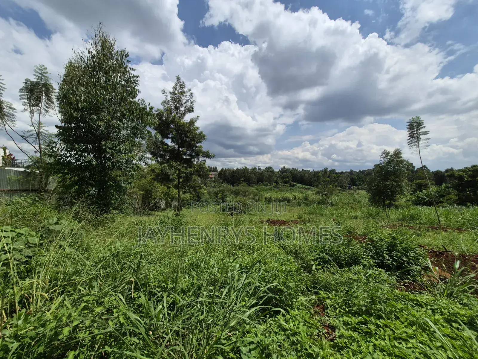 Half Acre Plot for Sale Along Njathaini Rd,Off Kiambu Rd