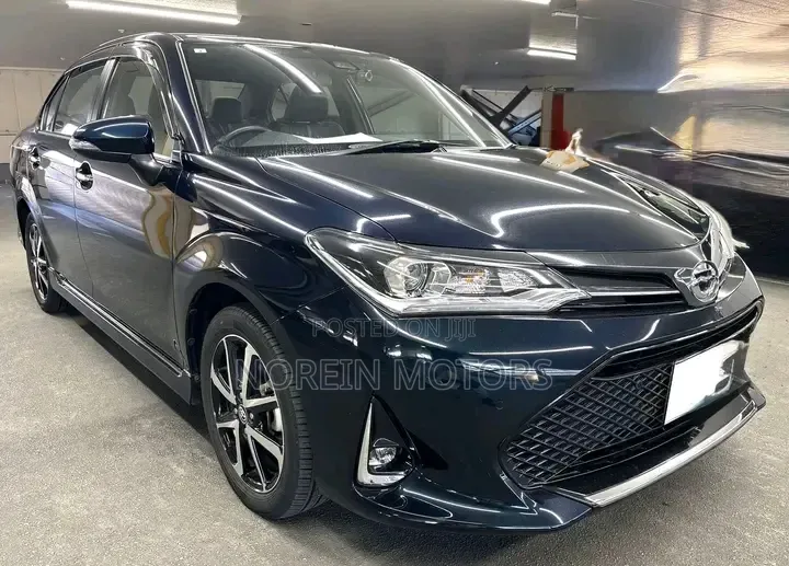 Toyota Axio 2019 Blue