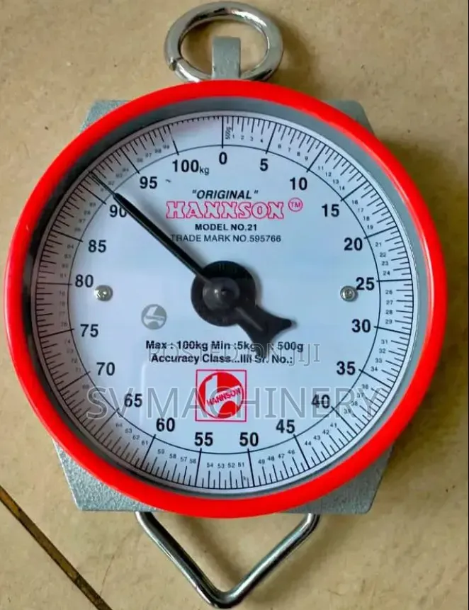 Heavy Duty 100kg Hanson Hanging Scale