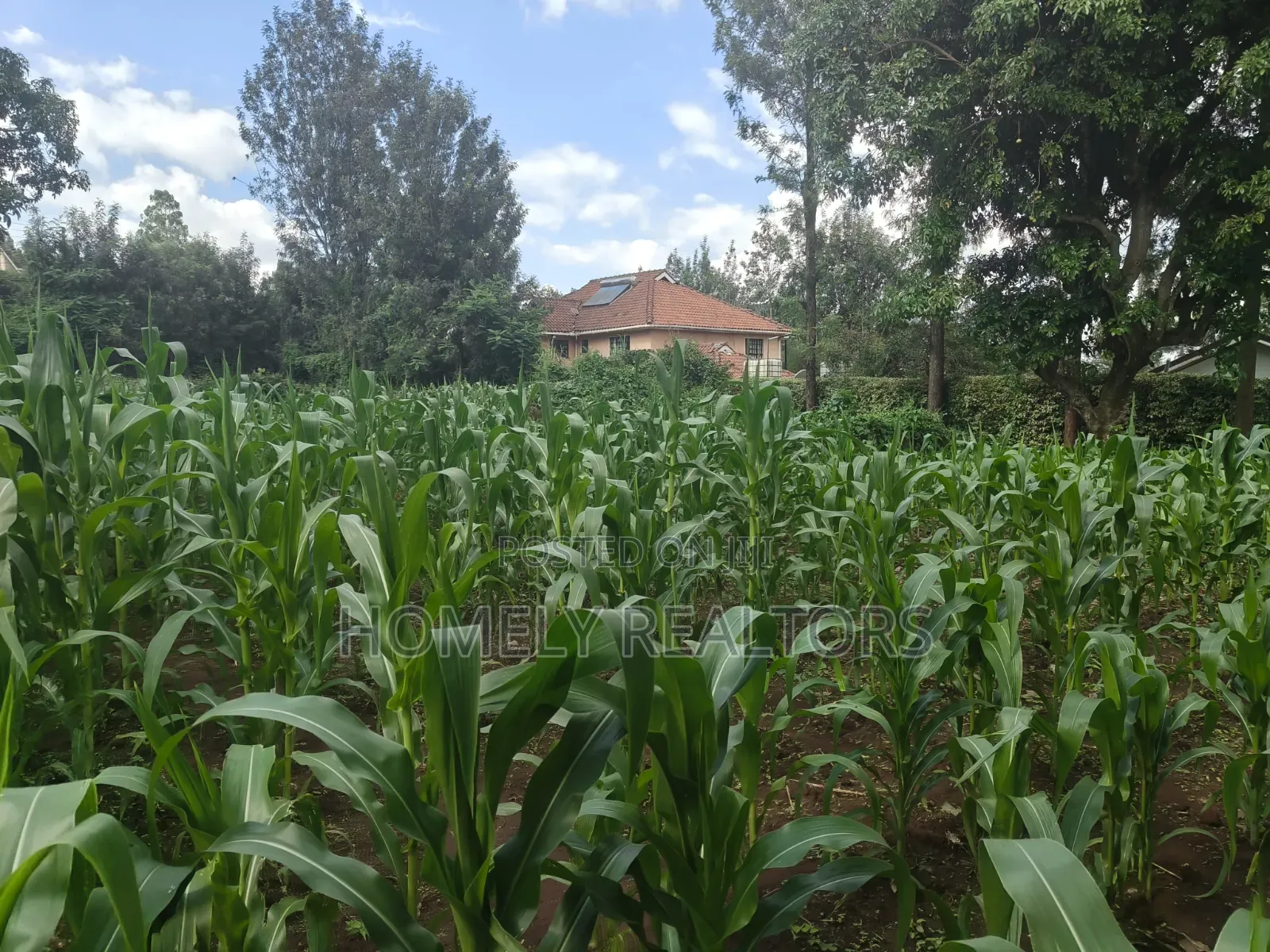 Prime Quarter Acre Corner Plot for Sale in Kerarapon Drive. Red Soil