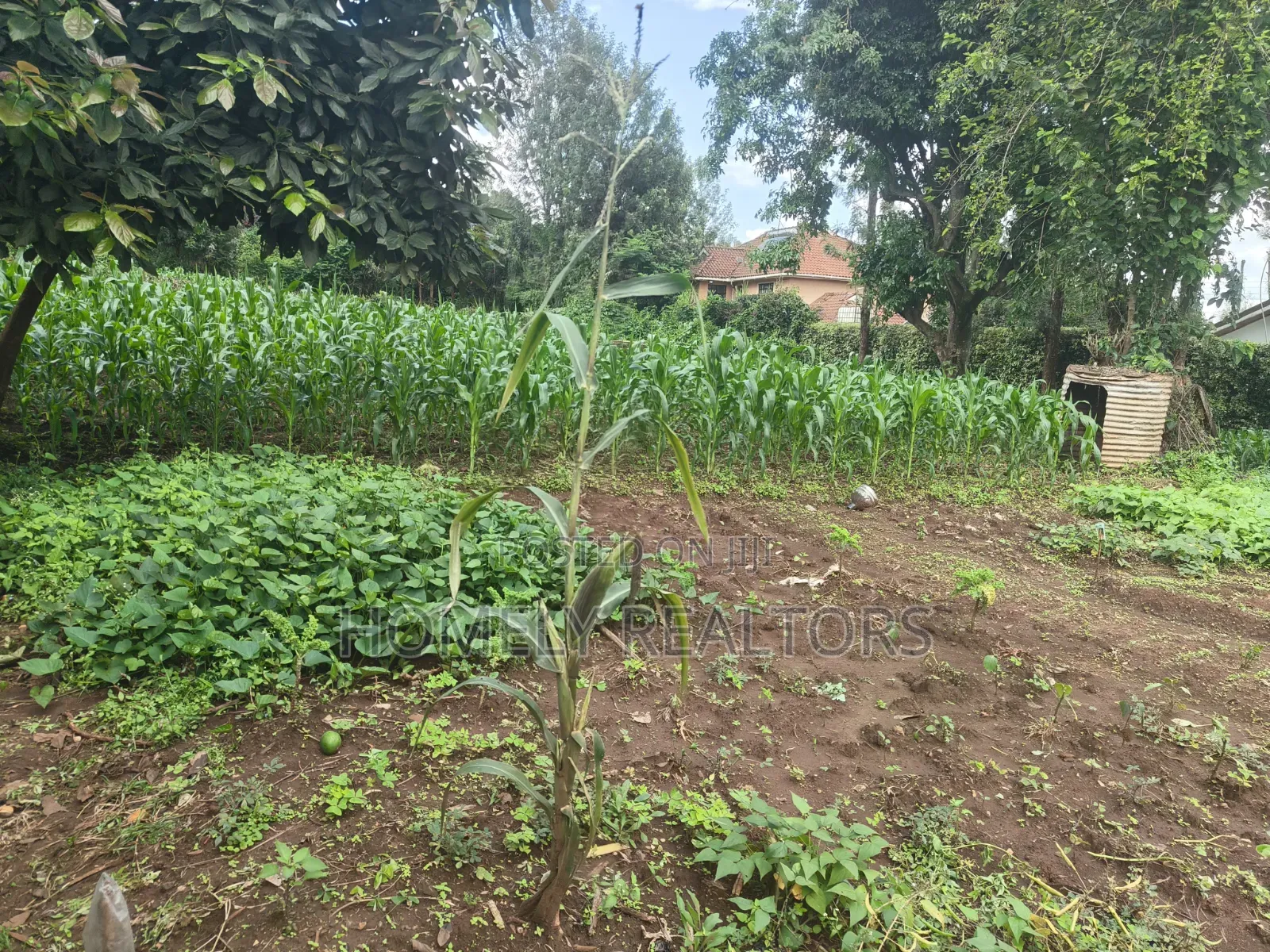 Prime Quarter Acre Corner Plot for Sale in Kerarapon Drive. Red Soil