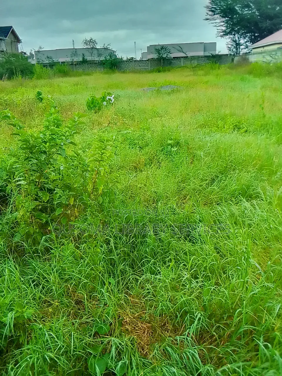 Kitengela’S Last Half Acre Under 10m Acacia | Just Before Olerai Hotel