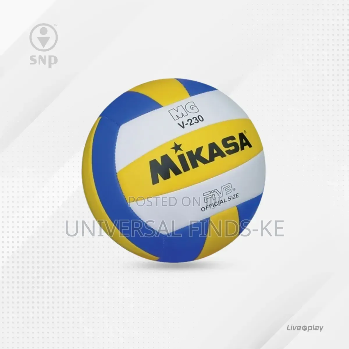 A Professional Mikasa Mv 210 Volleyball