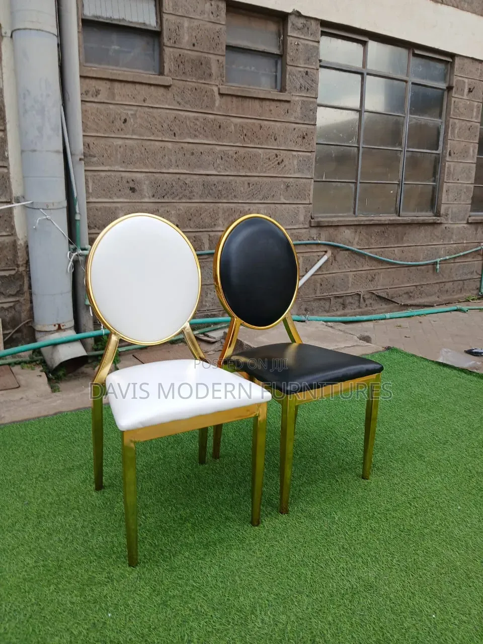 Round -Back Gold Frame Event Chair