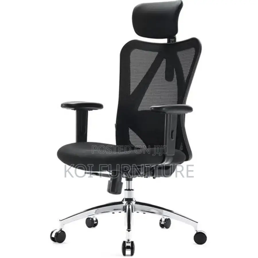 Office Chairs; Flexxking Orthopedic Office Chairs