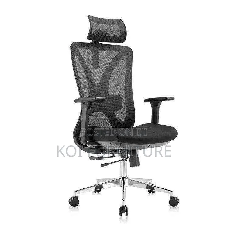 Office Chairs; Flexxking Orthopedic Office Chairs