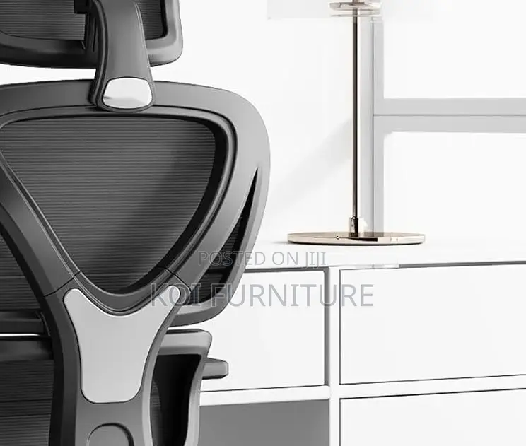 Office Chairs; Bretney Orthopedic Office Executive Chairs