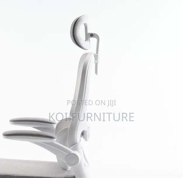 Office Chairs; Vannilli Orthopedic Office Chairs