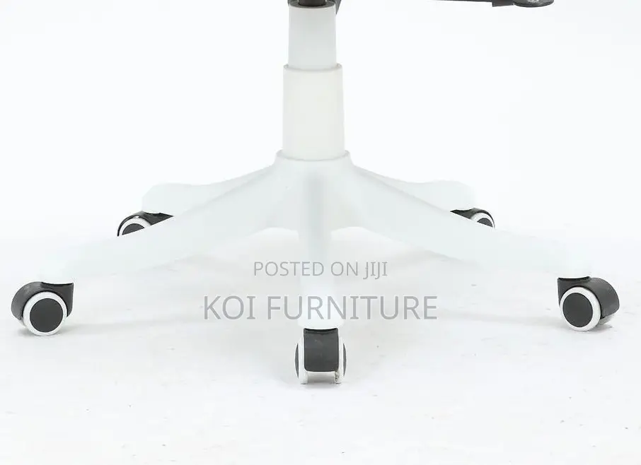 Office Chairs; Vannilli Orthopedic Office Chairs
