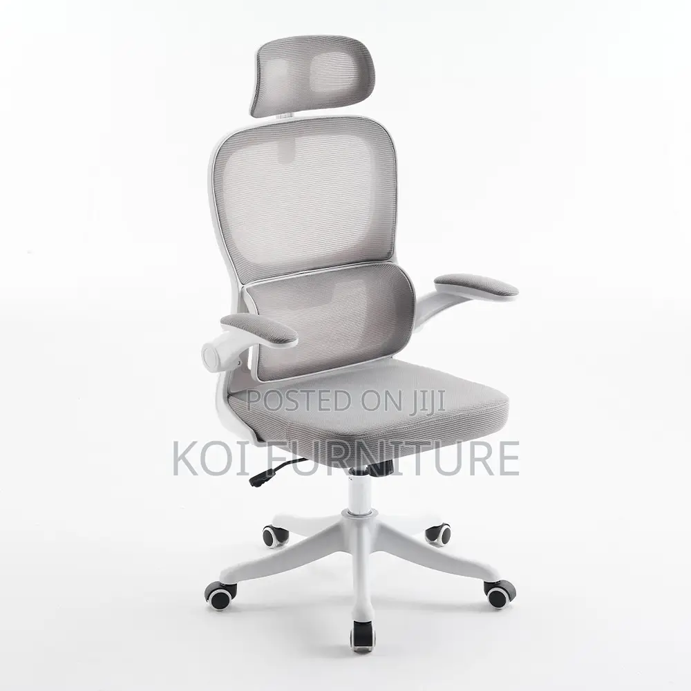 Office Chairs; Vannilli Orthopedic Office Chairs