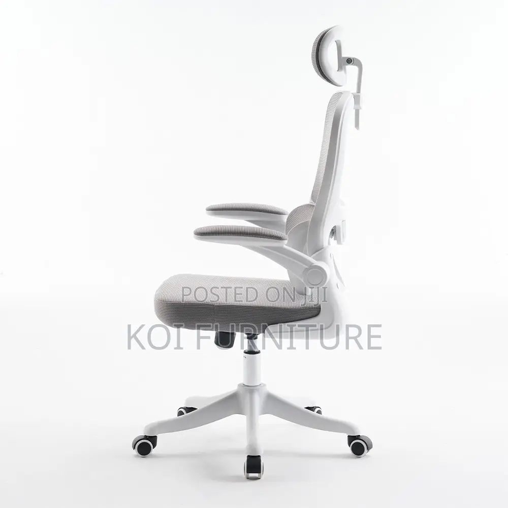 Office Chairs; Vannilli Orthopedic Office Chairs