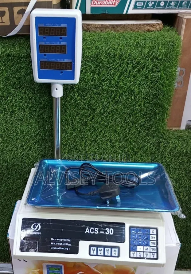 Acs 30 Computing Scale/ Digital Scale 30kgs