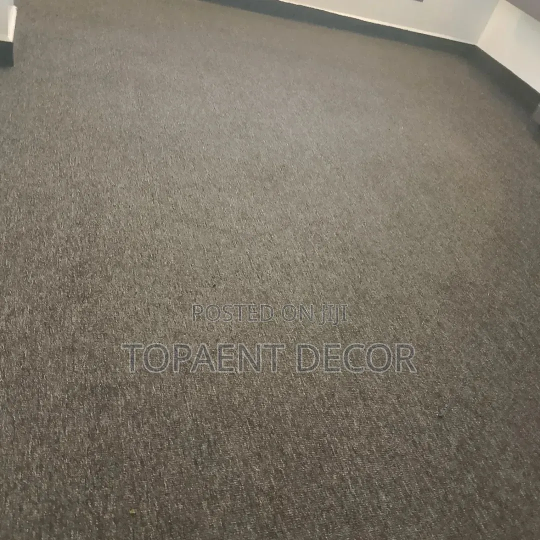 Delta Wall to Wall 4mm .Easy to Maintain Delta Carpets