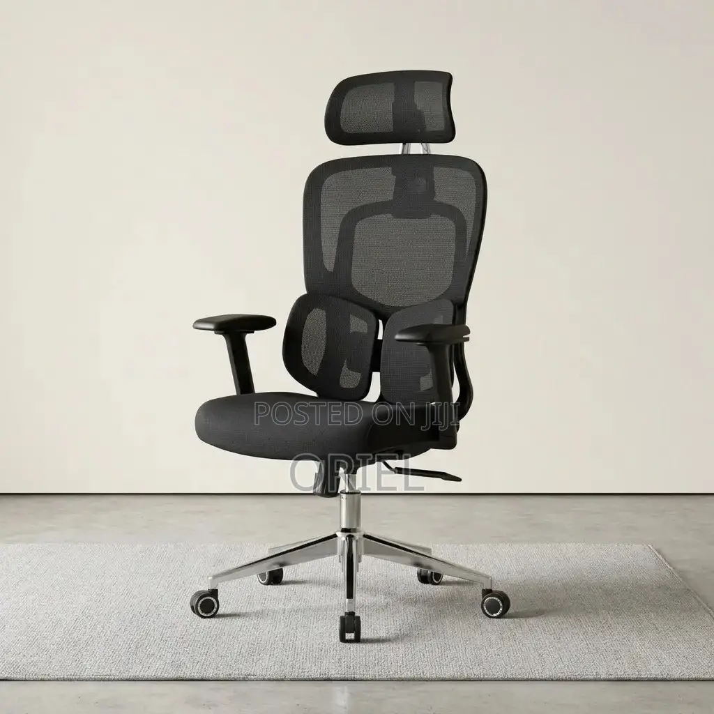 Modern Office Chair : Office Stylish Ergonomic Orthopedic Chair
