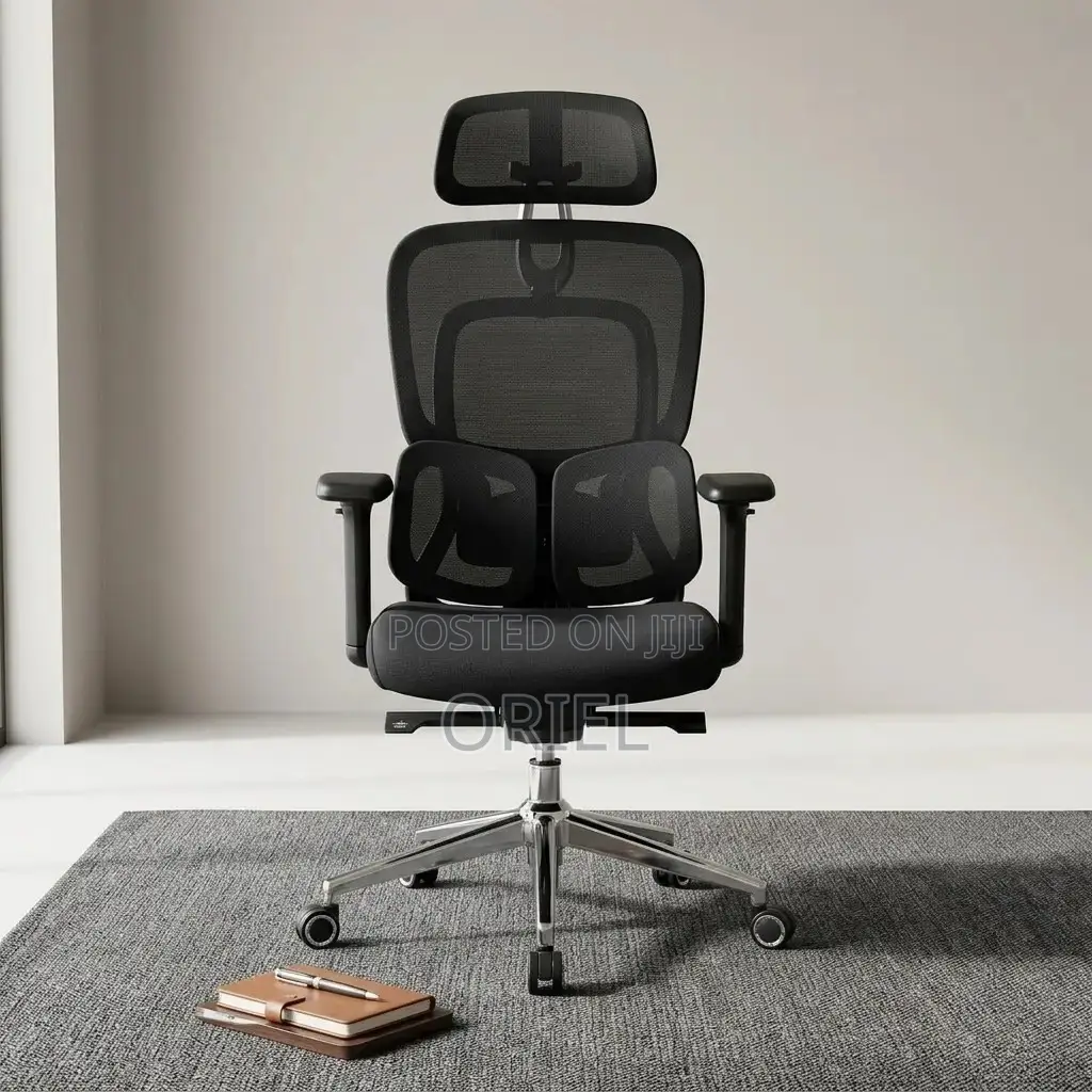 Modern Office Chair : Office Stylish Ergonomic Orthopedic Chair