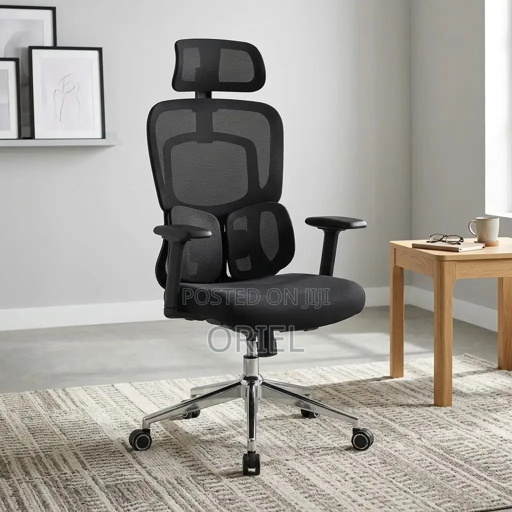 Modern Office Chair : Office Stylish Ergonomic Orthopedic Chair