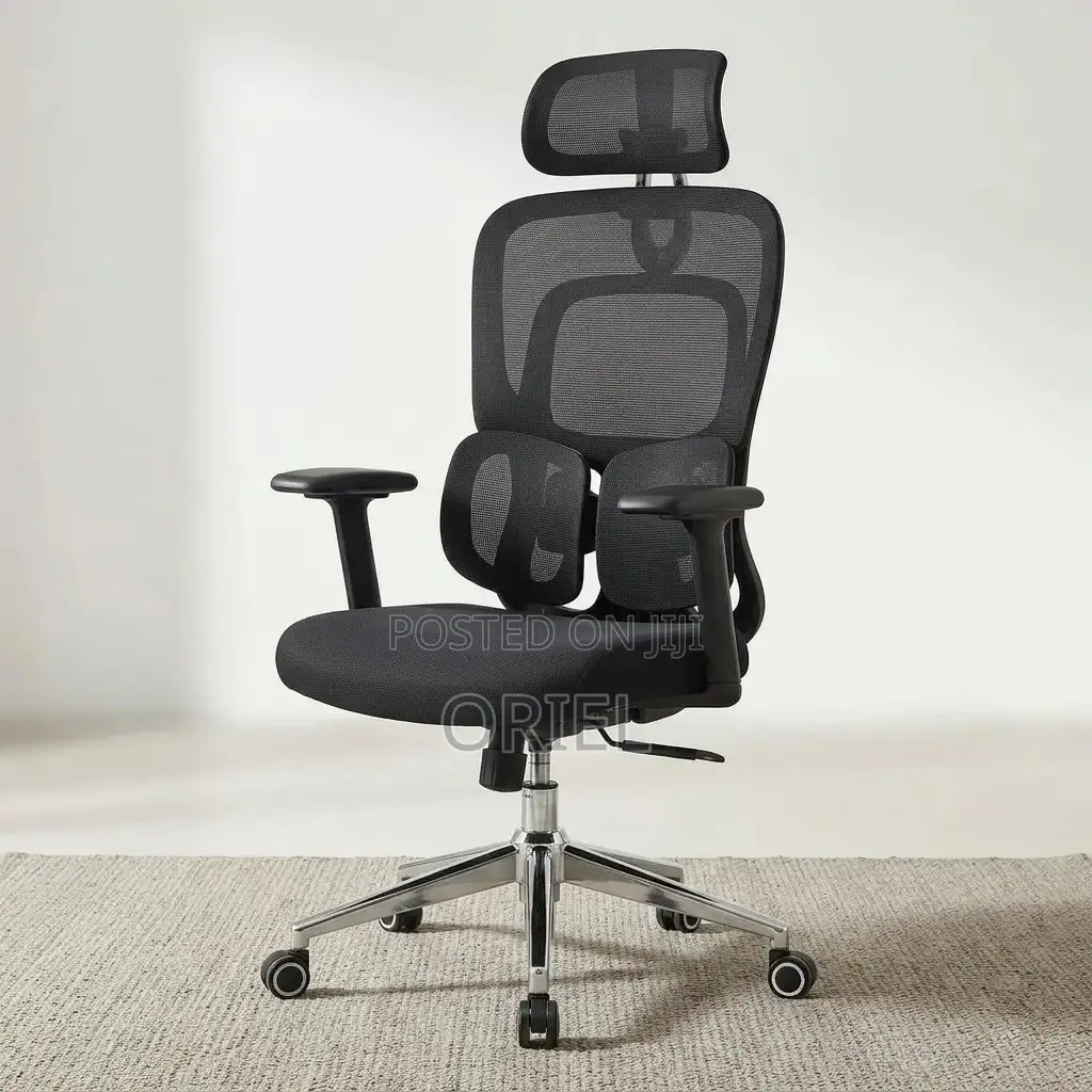 Modern Office Chair : Office Stylish Ergonomic Orthopedic Chair