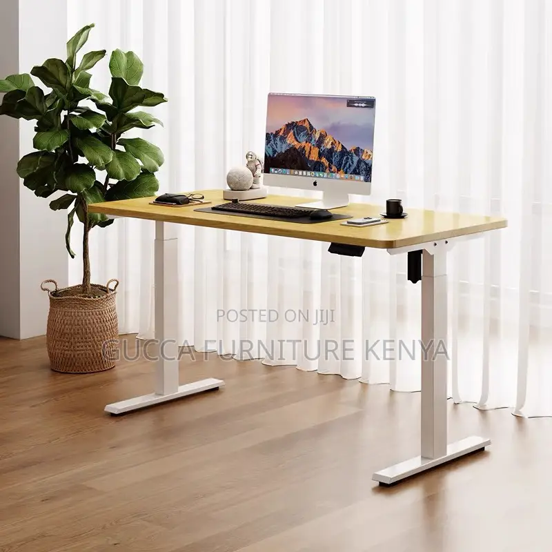 Ergonomic Electric Si Stand Gaming Desk-120cm