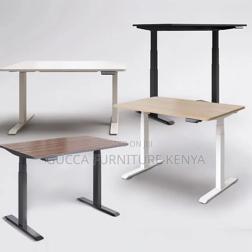 Ergonomic Electric Si Stand Gaming Desk-120cm
