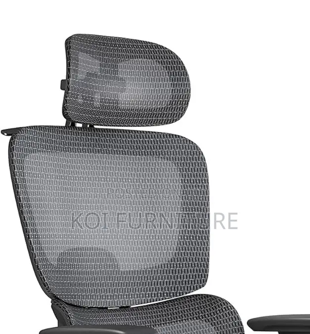 Office Chairs; Aerro Apex Orthopedic Ergonomic Office Chairs