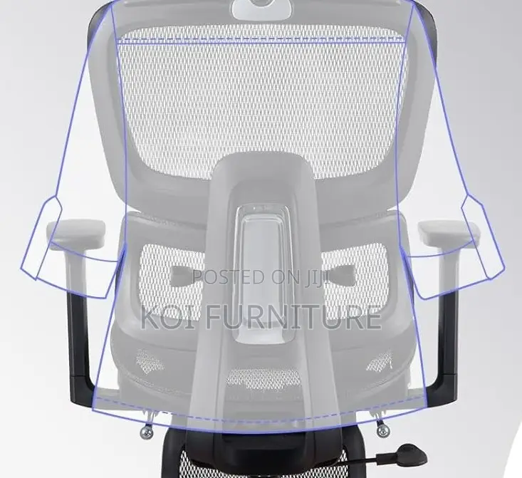 Office Chairs; Aerro Apex Orthopedic Ergonomic Office Chairs