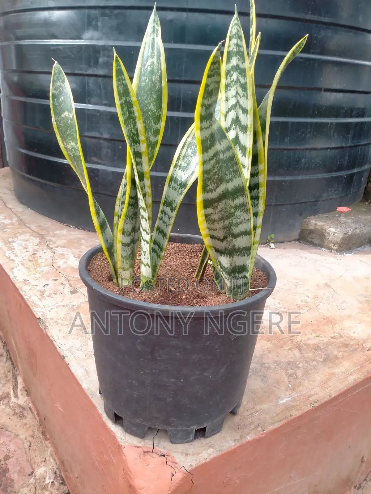 20 Litre Planter
