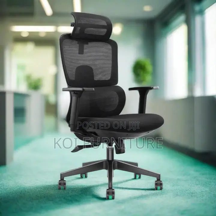 Office Chairs; Business Class Orthopedic Executive Office Seat