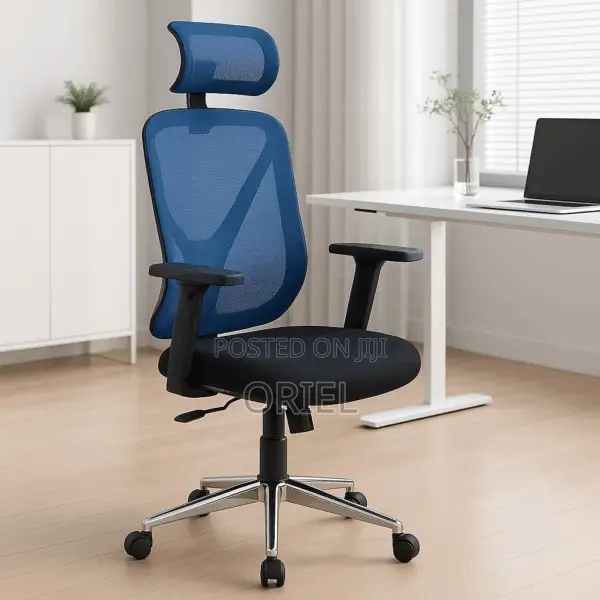 Modern Office Chair : Ergonomic High-Back Office Mesh Chair