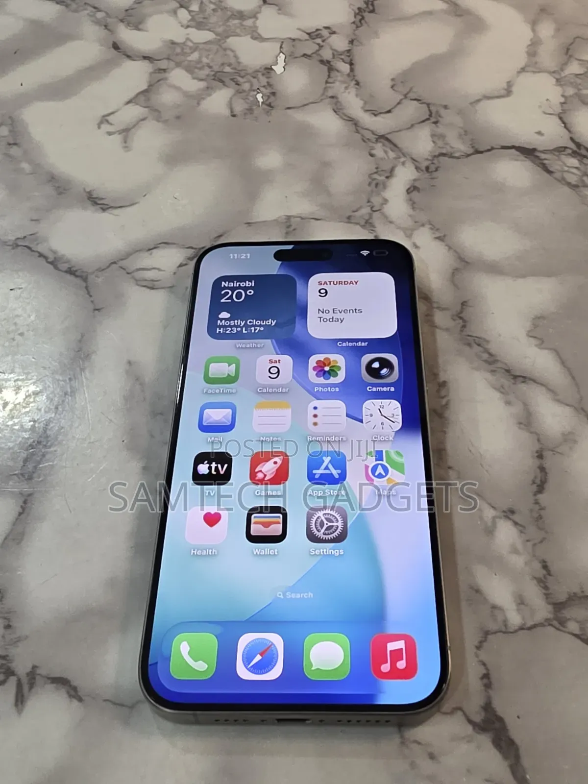 Apple iPhone 15 Pro Max 256 GB Gray
