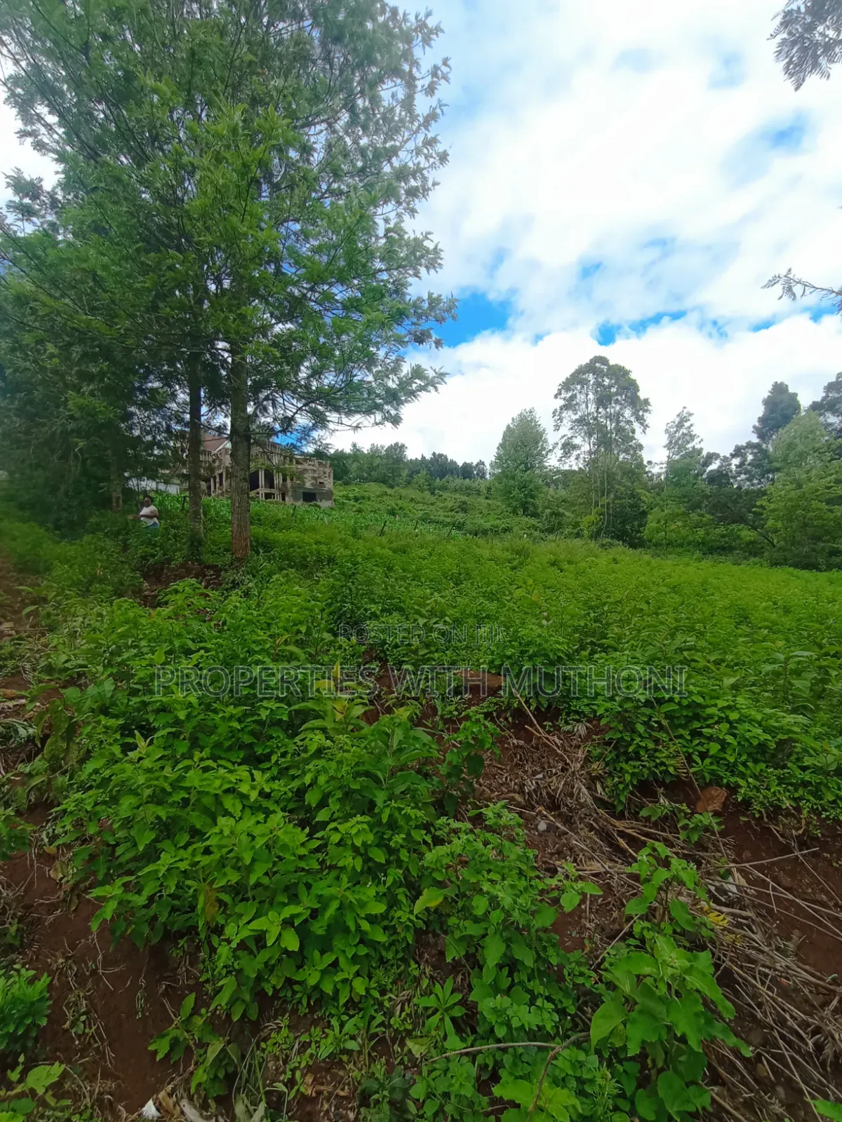 50×100 Plots in Kibiko Ngong.