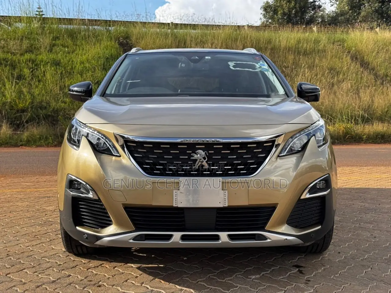 Peugeot 3008 2018 Gold