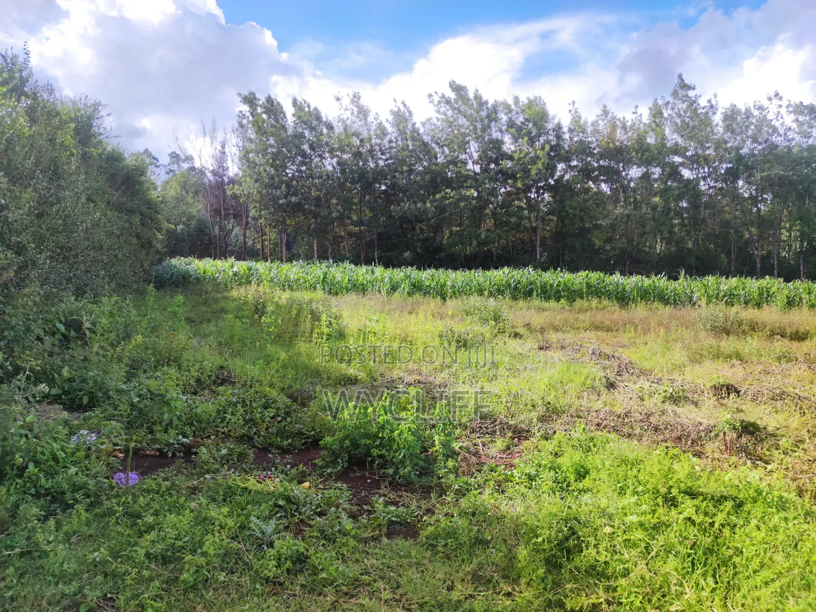 Plot (1⁄8) for Sale in Kibiko, Ngong