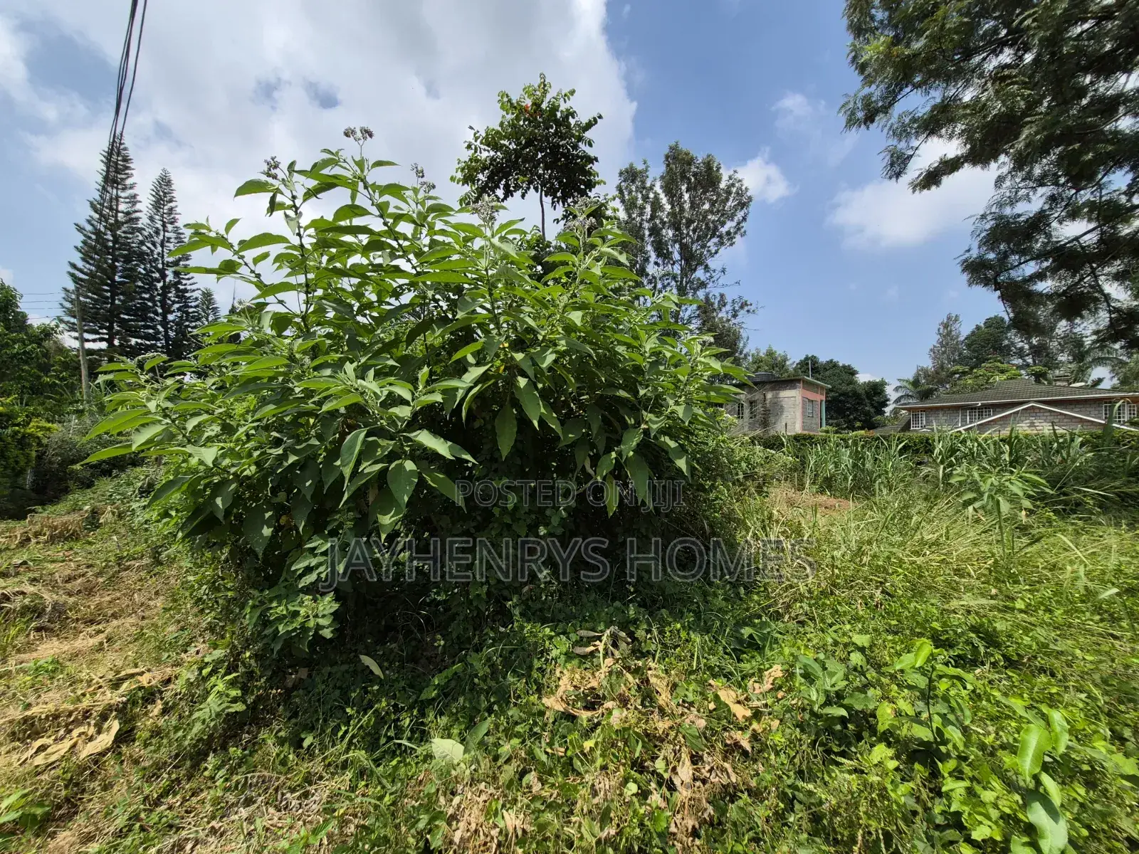 Half Acre Plot for Sale Along Kiambu Rd