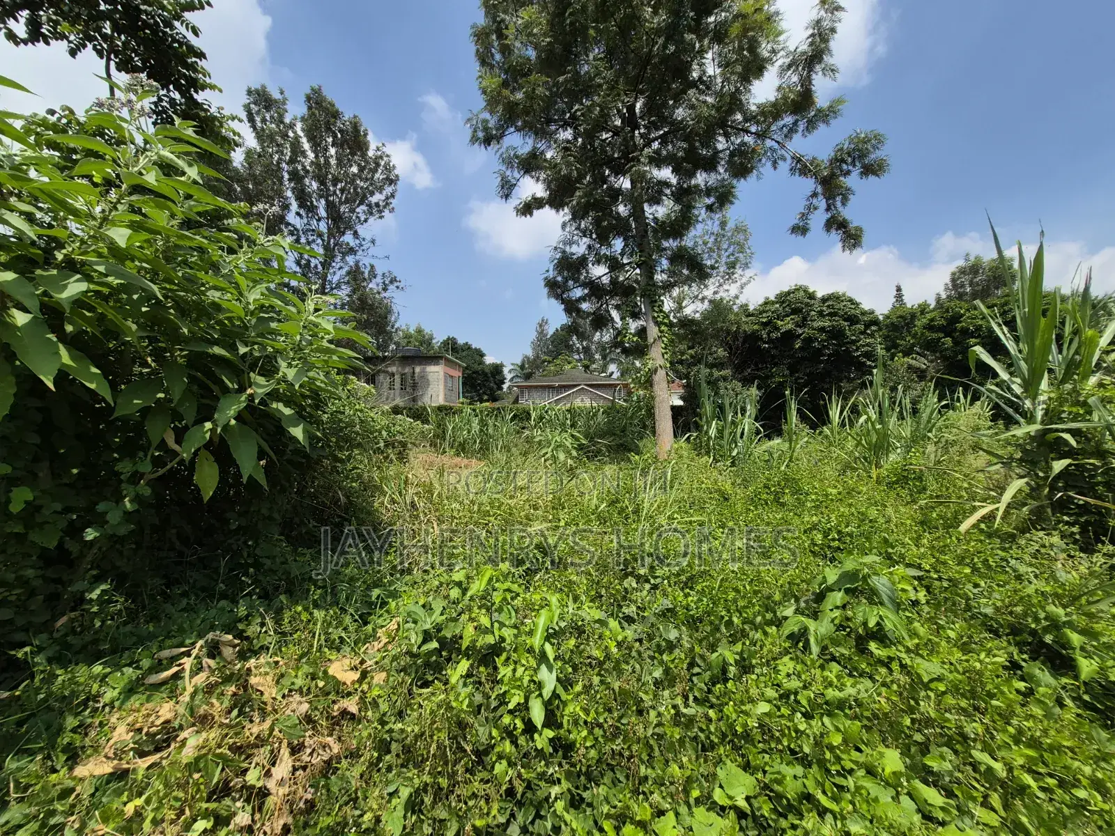 Half Acre Plot for Sale Along Kiambu Rd