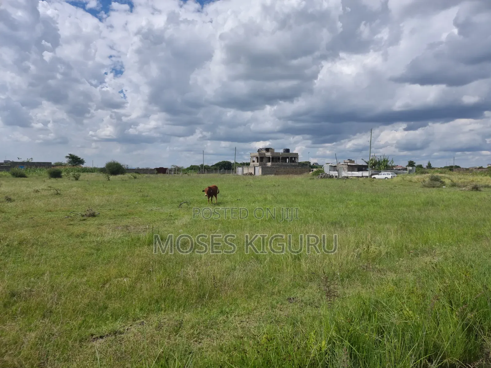Ndarasha 40x60 Plots.