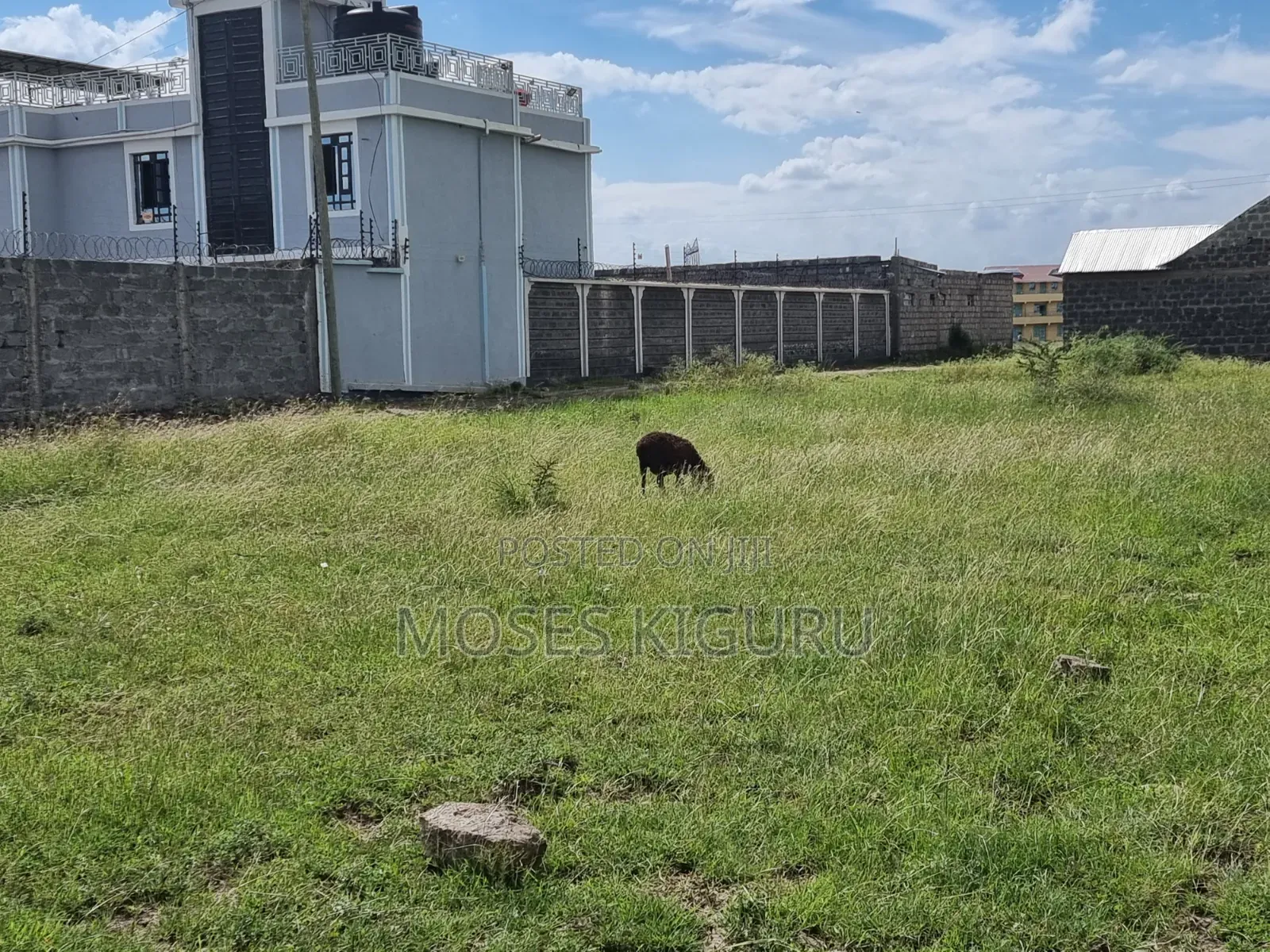 Ndarasha 40x60 Plots.