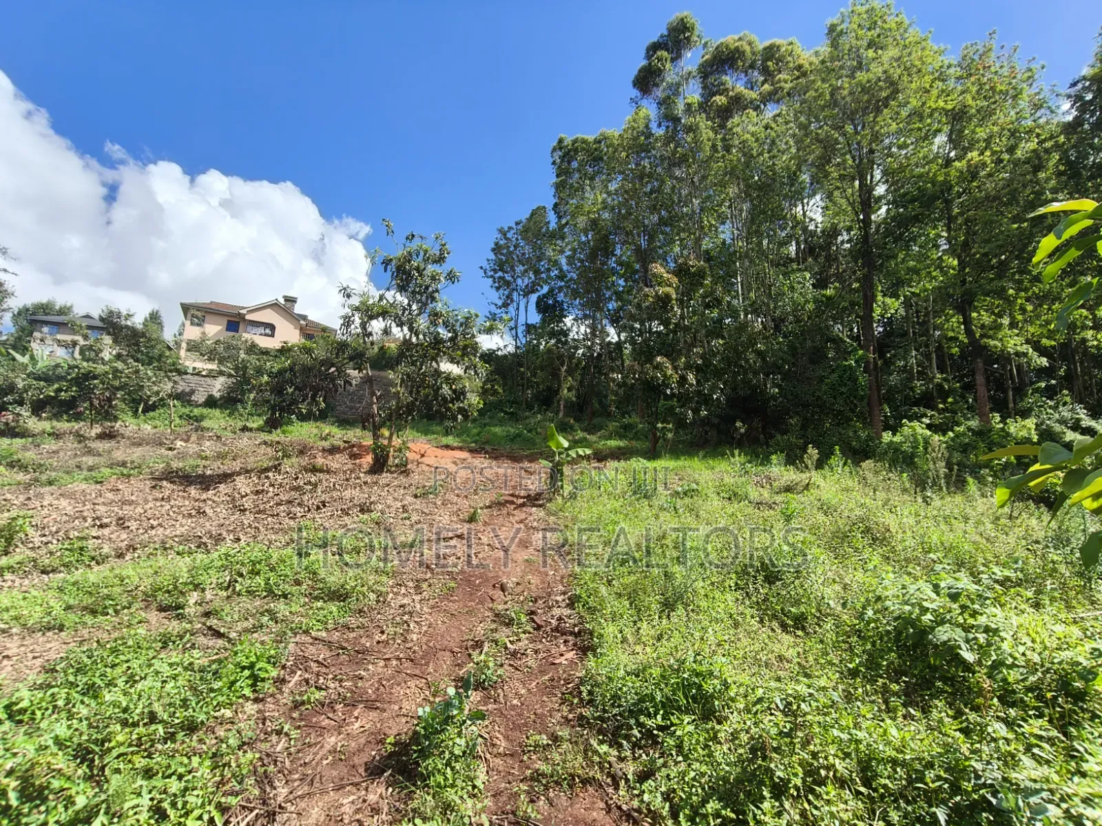 Quarter Acre Plot for Sale in Ngong, Matasia. Residential Red Soil