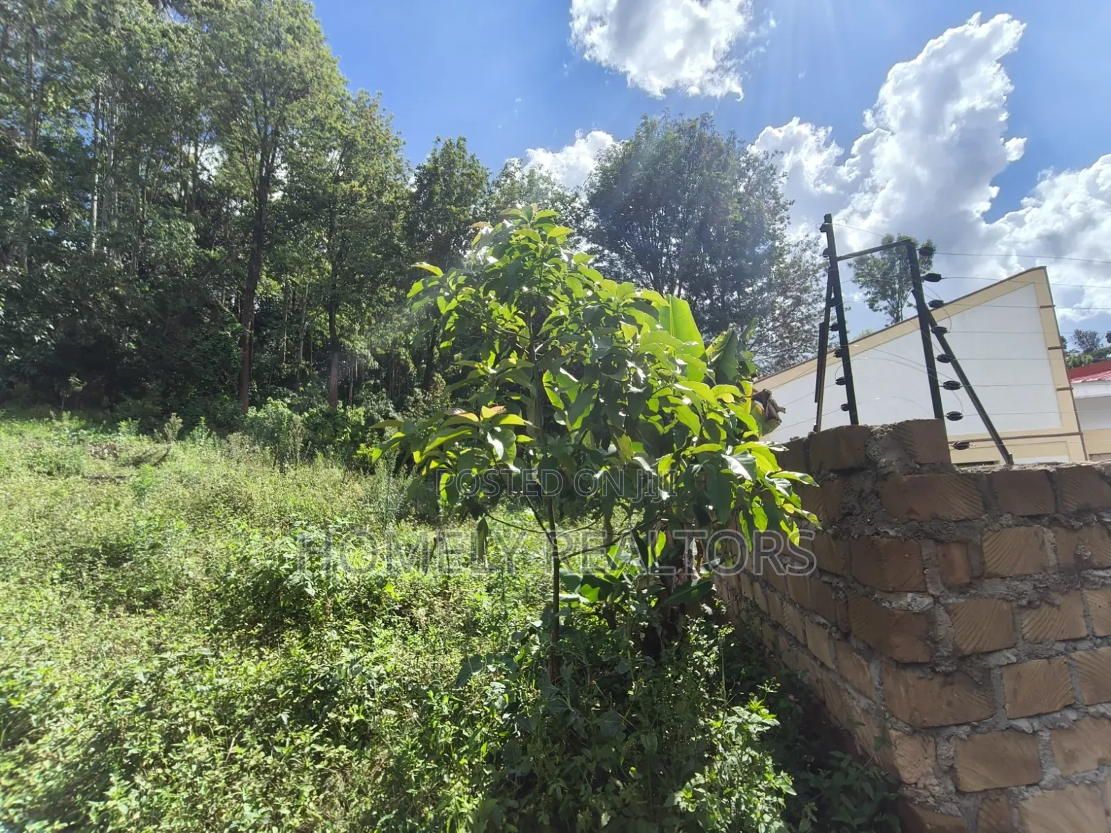 Quarter Acre Plot for Sale in Ngong, Matasia. Residential Red Soil