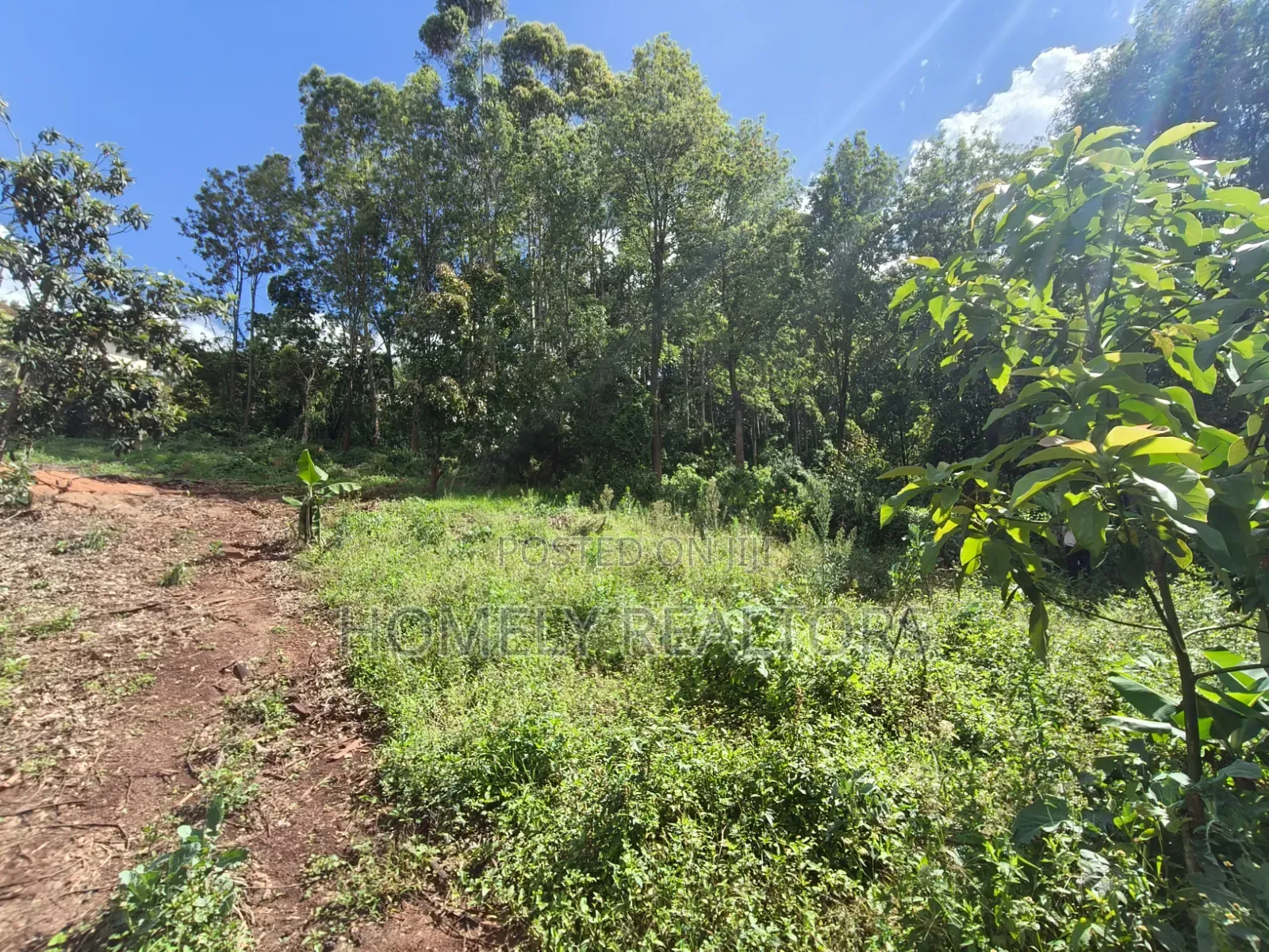 Quarter Acre Plot for Sale in Ngong, Matasia. Residential Red Soil