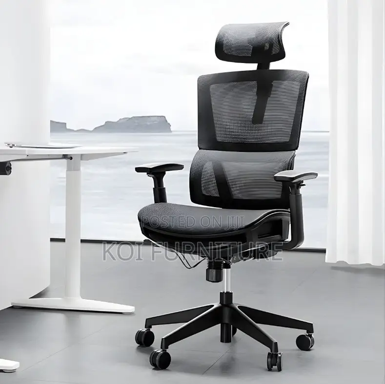 Office Chairs; Leisuremod Black Executive Office Orthopedic Chairs