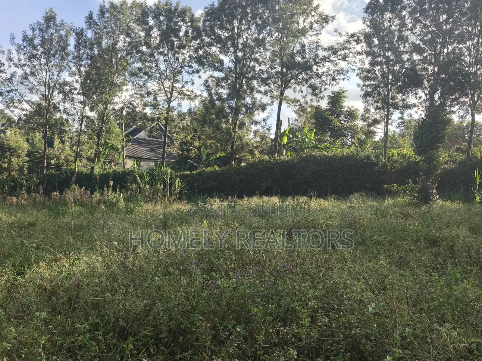 Residential 8th Acre Red Soil Plot for Sale in Kerarapon Drive