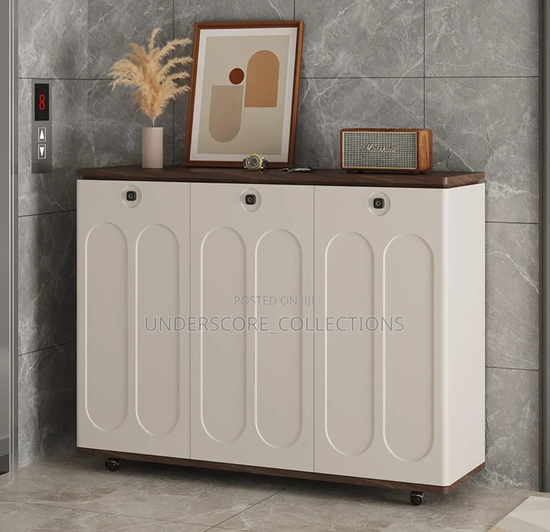 Modern Executive Hall Way Shoe Rack