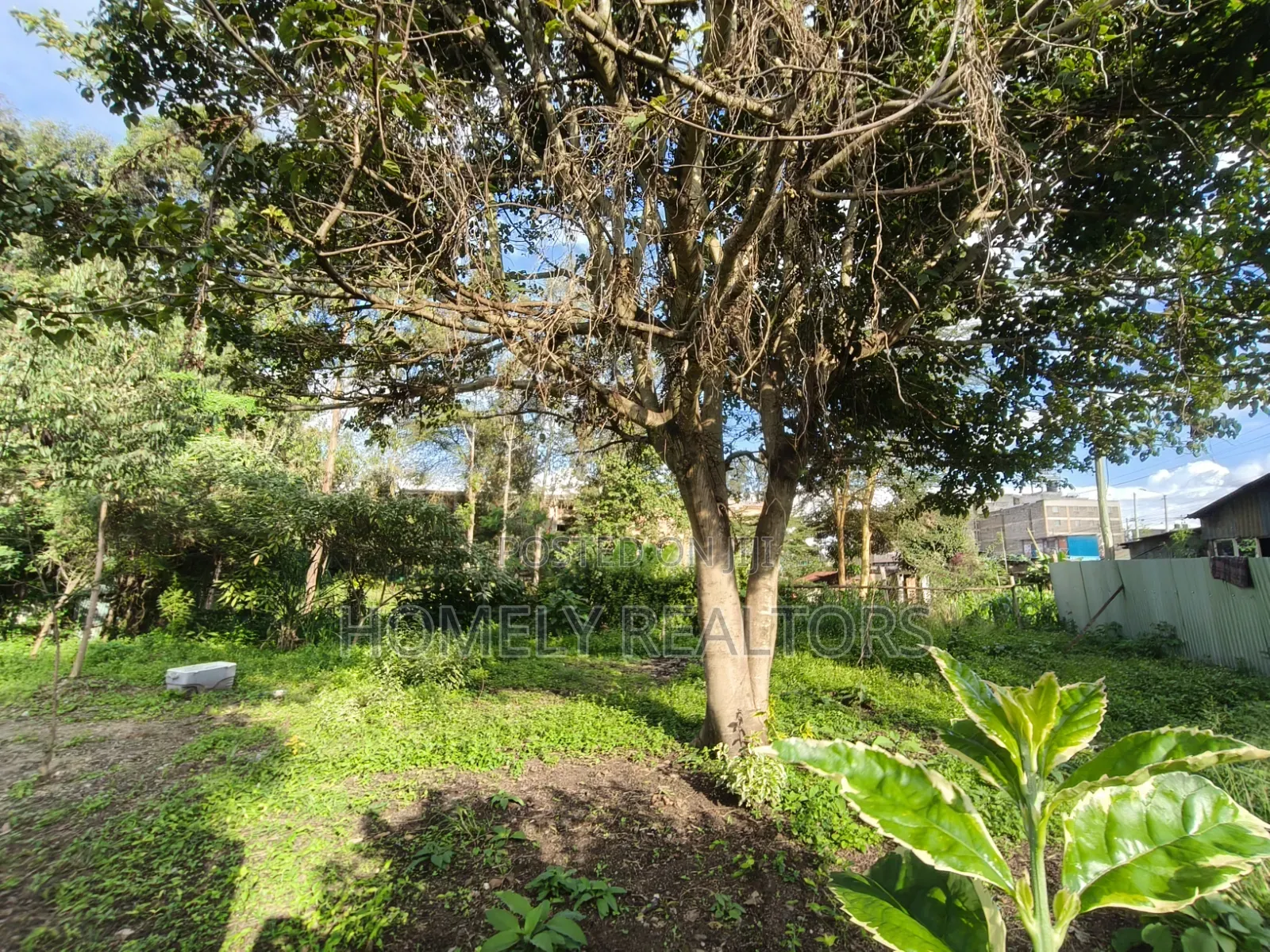 Commercial 8th Acre Plot for Sale in Ngong, Ebulbul Touching Tarmac