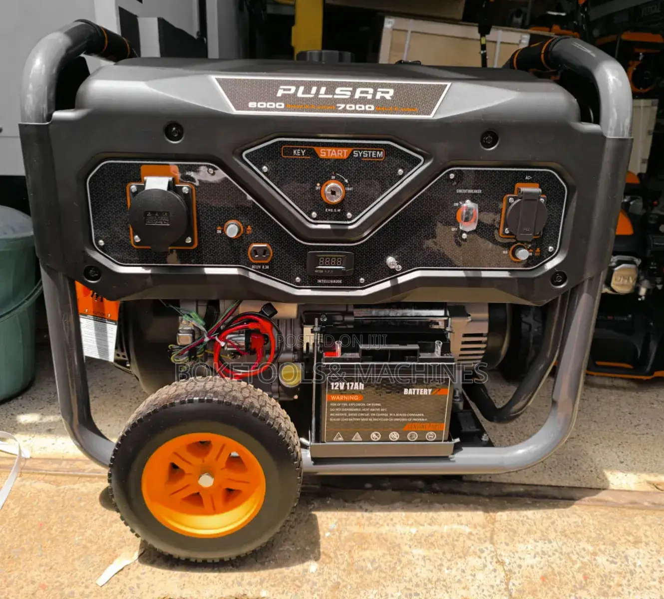 Pulsar Gasoline Generator 8.75kva